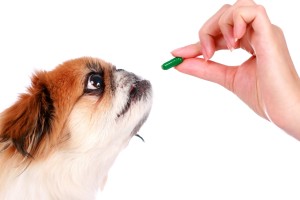 natural dog supplements and vitamins